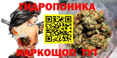 мдпв Абакан