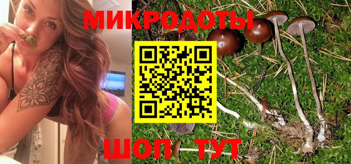Псилоцибиновые грибы Magic Shrooms  Вход с VPN  наркотики  Альметьевск  Псилоцибиновые грибы прущие грибы 