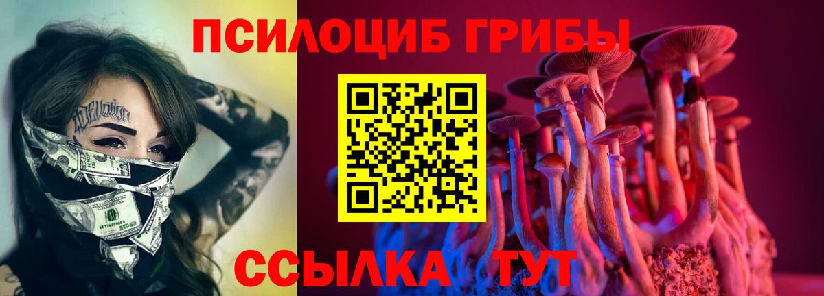 Галлюциногенные грибы Cubensis Альметьевск